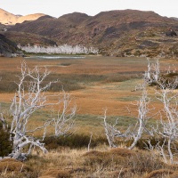parc Torres del Paine: après les feux dévastateurs