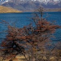 Parc Torres del Paine: vue sur les tours depuis la laguna azul