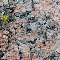 Parc Torres del Paine: sol pierreux