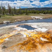 Parc Yellowstone: eau de refroidissement dans la zone d'activité hydrothermique