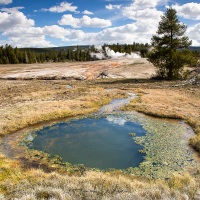 Parc Yellowstone: Liberty pool