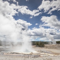 Parc Yellowstone: Swamill geyser