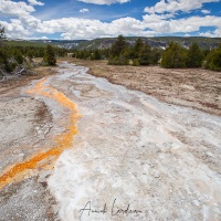Parc Yellowstone: eau de refroidissement dans la zone d'activité hydrothermique