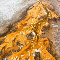 Parc Yellowstone: activité hydrothermique. 