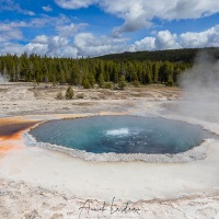 parc Yellowstone: crested pool