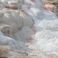 Parc Yellowstone: Mammoth hotsprings terraces