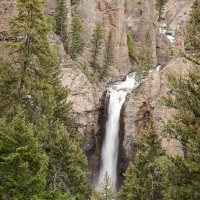 Parc Yellowstone: Tower falls