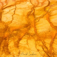 Parc Yellowstone: zone du Grand Prismatic. La couleur orange est due à la présence de caroténoïdes produits par des bactéries pour se protéger du soleil