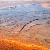 Parc Yellowstone: zone du Grand prismatic. La couleur orange est due à la présence de caroténoïdes produits par des bactéries pour se protéger du soleil