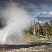 Parc Yellowstone: Riverside geyser