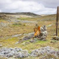 Plateau du Sanetti