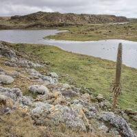 Plateau du Sanetti