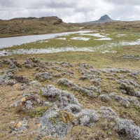 Plateau du Sanetti