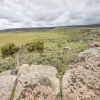 Paysage de la vallée de la Web