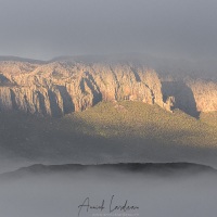 Brouillard du matin