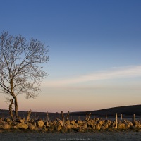 Aubrac: Lever de soleil