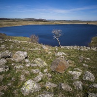 Aubrac: Lac de Saint-Andéol