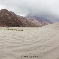 Dunes de sable de Sumoor