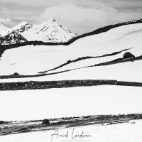 Col de Shinla à 5053 mètres d