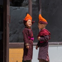 Monastère de Karsha: jeunes moines