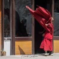 Monastère de Karsha: jeunes moines