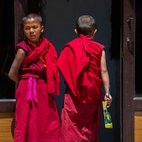 Monastère de Karsha: jeunes moines