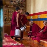 Thiksey: :moine à la prière du matin