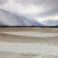 Dunes de sable de Sumoor