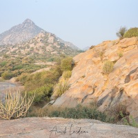 Paysage du Rajasthan