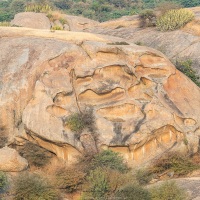 Paysage du Rajasthan