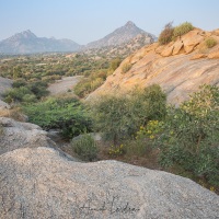 Paysage du Rajasthan