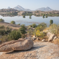 Rajasthan: réservoir de Jawai Bandh