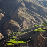 Lingshed: cultures en terraces