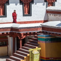 Monastère de Hemis: moine