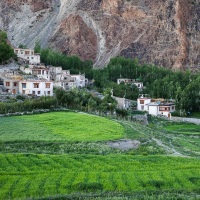 Karsha: cultures au pied du village