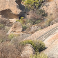 Rochers dans les collines à léopards