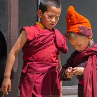 Monastère de Karsha: jeunes moines