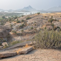 Paysage à proximité de Jawai Bandh