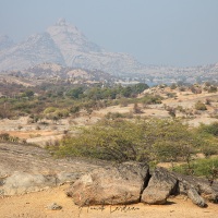 Paysage du Rajasthan à proximité du réservoir de Jawaï Bandh